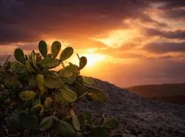 Prickly Pear House