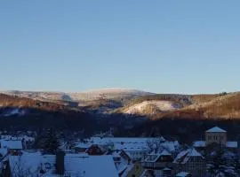 FeWo mit Brockenblick