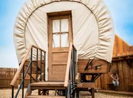 Big Texan Wagons