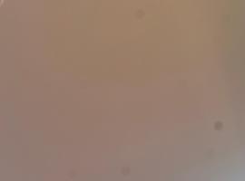 Kilimanjaro Roots，位于Uru的酒店