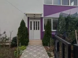 Bar ,2 sobni stan ,Namaste !