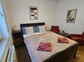 1-Zimmer Apartment in zentraler Lage