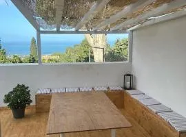 Dream on the Blue House