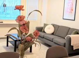 40- Nice apartment in Kemi city center , balcony and free parking