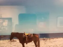 Beautiful Club La Costa Condo