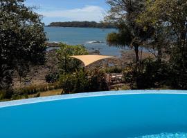 Nativo，位于圣卡塔利娜岛的带泳池的酒店