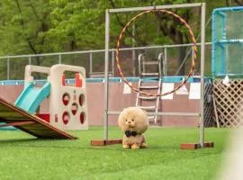 Chuncheon Dogandstay