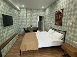 Tbilisi Airport Panorama