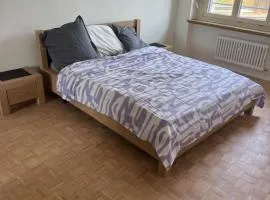 Share Apartment in central Luzern