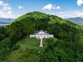 Mountain Top Mansion + Pet Friendly + Sleeps 24 + Asheville + Blue Ridge Parkway
