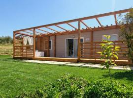 VioVillas Agriturismo Glamping Jacuzzi Arezzo，位于阿雷佐的酒店