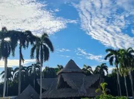 Flandes Palma Real Hub