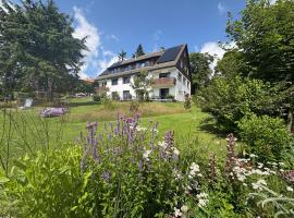 Berghotel Hohegeiß，位于霍盖思的酒店