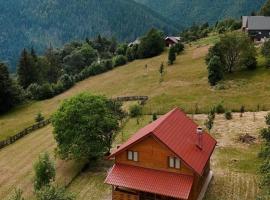 Apuseni Wood House，位于Mătişeşti的酒店