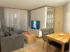 Mountain View Apartment near Brig Station