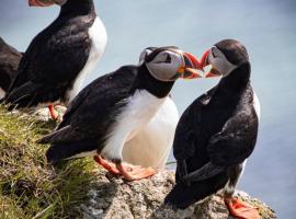 Malarhorn Accommodations，位于Drangsnes的酒店