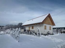 Modernes Kellerstöckl im Südburgenland，位于Glasing的酒店