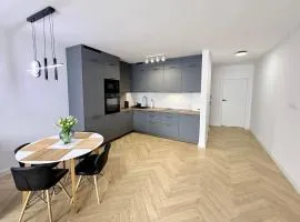 Nowoczesny szereg blisko Gdańska