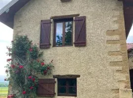 Gîte du Poisson Rouge, grand terrain, cheminée, 10 min Arbois