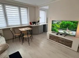 Apartament Lumen Natura - 2km od Rynku i PreZero Arena