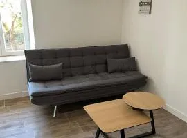 Maison 2 chambres, climatisée avec cour privative