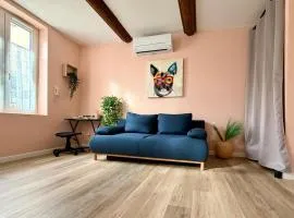 Le Cosy Rose - Climatisé Hyper Centre Historique