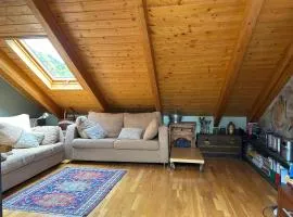 Chalet Hoz de Jaca