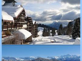Les Terrasses du Mont blanc，位于普拉茲德里斯Beuloz Ski Lift附近的酒店