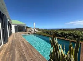 Spacious Modern Villa with Pool & Sunrise View - Graviola St Barth