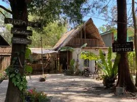 Uwak Gallery
