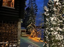 Järvenrantamökki Nurmijärvellä，位于许温凯的酒店