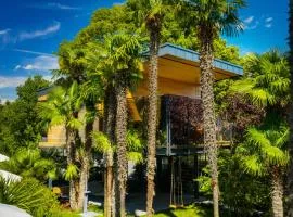 TreeLodgy, The Tree House