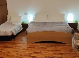 Oleggio apartment