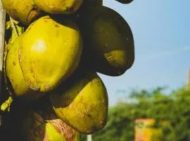 Assagaon Studio at Kiara Homes