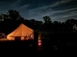 Glamping Royal - View Glamping Zomergem