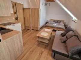 Apartament nr 2 Pod złotym Groniem