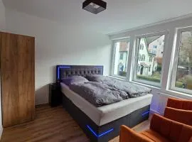 Cozy downtown studio