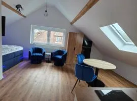 Modern apartment in downtown