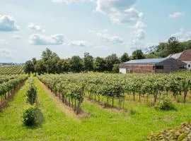 Nussböckgut - Winzerhof mit gratis Parkplatz
