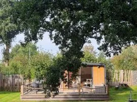 Tiny House