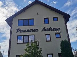 Pensiunea Andreea，位于巴亚德菲耶尔的酒店