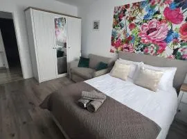 Rox Mountain View Apartament