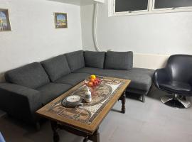 Basement Apartment in Villa，位于欧登塞的酒店