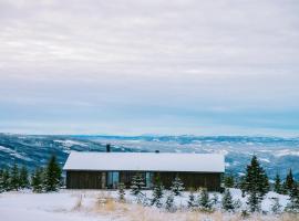 Hafjell, cabin on Mosetertoppen Hafjell, beautiful views!，位于Øyer的酒店