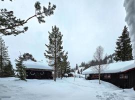Gorgeous Home In Flatdal With Sauna，位于Flatdal的酒店
