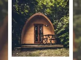 Domaine La Ville Suzanne - Insolite