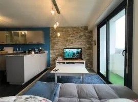 Spacious Quiet Pyrenees View Garage