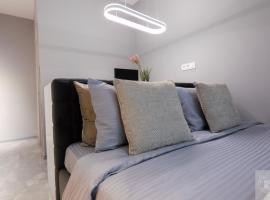 RentHouse Apartments NanoFlat #1，位于基希讷乌的酒店