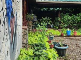 Kizumba House，位于阿鲁沙的酒店