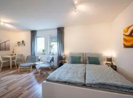 Studio Apartment University/Terrace (Ackermann)